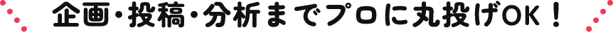 企画･投稿･分析までプロに丸投げOK！